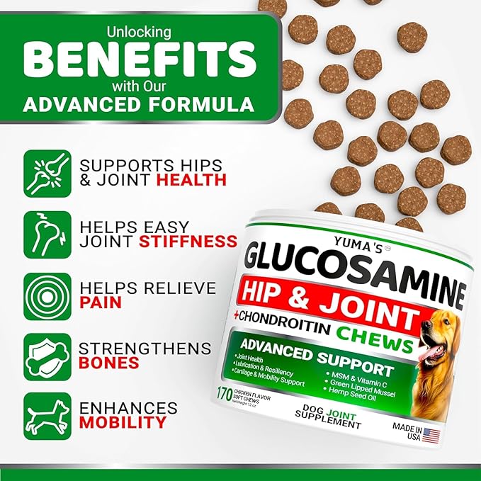 YUMA'S (2 Pack) Glucosamine for Dogs - Hip and Joint Supplement for Dogs - Glucosamine Chondroitin Chews - Joint Pain Relief Supplement with MSM - Advanced Health - Mobility Support - Made in USA-Mewly Pet