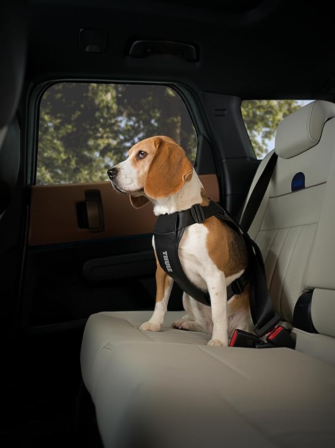 Thule Cappy Dog Harness S - Crash-Tested for Safety - Seatbelt passthrough - Adjustable & Easy to Clean - Padded Breathable mesh Panels - Leash Loop - Step-in Design-Mewly Pet