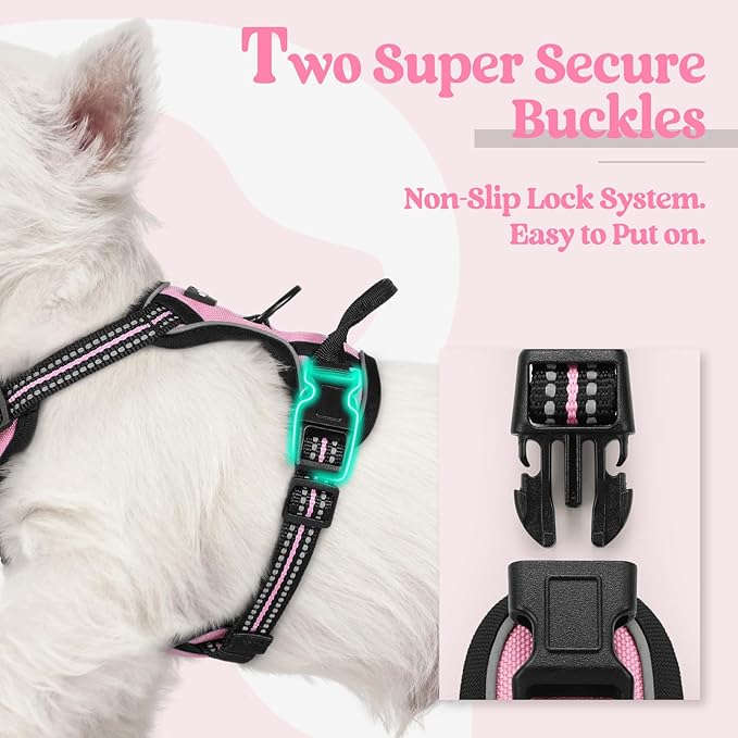 rabbitgoo Dog Harness No Pull with 2 Leash Clips, Adjustable Soft Padded, Reflective Oxford No Choke Pet Vest with Easy Control Handle for Puppy, Pink, XS-Mewly Pet