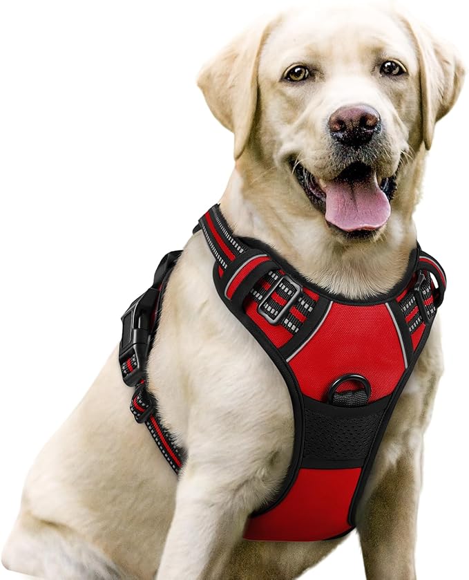 rabbitgoo Dog Harness, No-Pull Pet Harness with 2 Leash Clips, Adjustable Soft Padded Dog Vest, Reflective No-Choke Pet Oxford Vest with Easy Control Handle for Large Dogs, Red, L-Mewly Pet