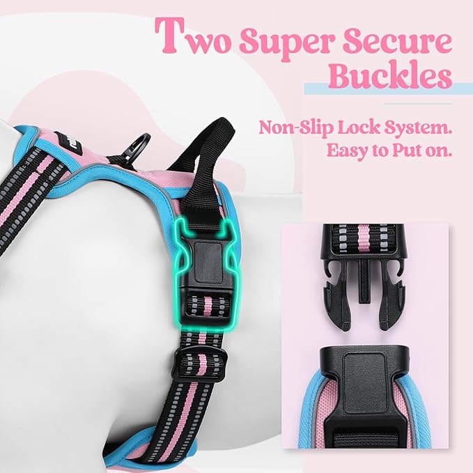 rabbitgoo Dog Harness No Pull with 2 Leash Clips, Adjustable Soft Padded, Reflective Oxford No Choke Pet Vest with Easy Control Handle for Medium Sized Dogs, Pink & Blue, M-Mewly Pet
