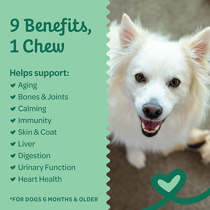 Wholesome Pride 9-in-1 Dog Multifunctional Soft Chews – Joint Pain Relief, Hip & Joint Support, Immune, Skin, Gut, Heart, Brain Health – Glucosamine, MSM, Chondroitin – 90 Chews-Mewly Pet