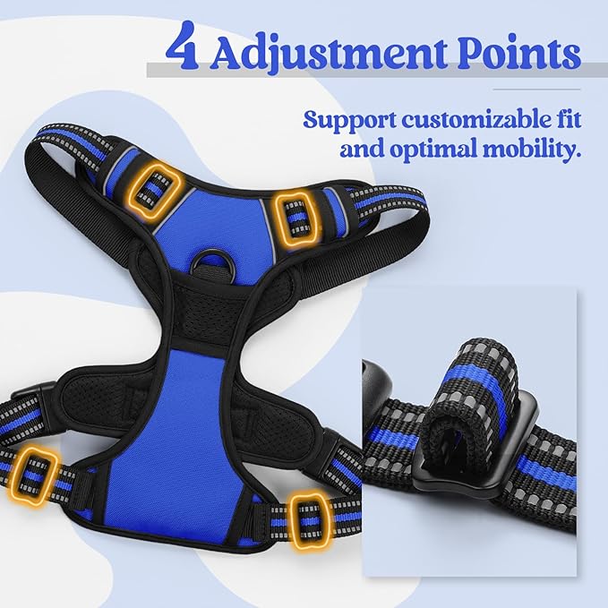 rabbitgoo Dog Harness No Pull with 2 Leash Clips, Adjustable Soft Padded, Reflective Oxford No Choke Pet Vest with Easy Control Handle for Large Dogs, Dazzling Blue, L-Mewly Pet