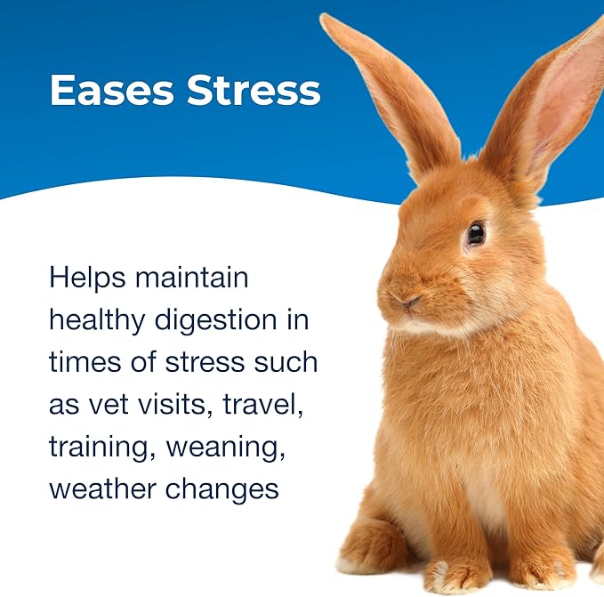 PetAg Bene-Bac Plus - 1 lb Powder - FOS & Probiotics for Dogs, Cats, Exotic & Wildlife Mammals-Mewly Pet