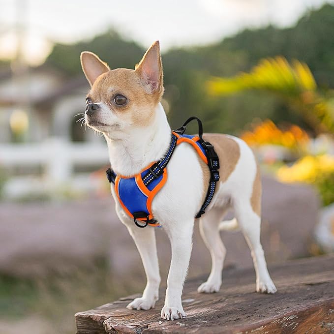 Eagloo Small Dog Harness No Pull, Service Vest with Reflective Strips and Control Handle, Adjustable and Comfortable for Walking, No Choke Pet Harness with 2 Metal Rings, Blue & Orange, XS-Mewly Pet