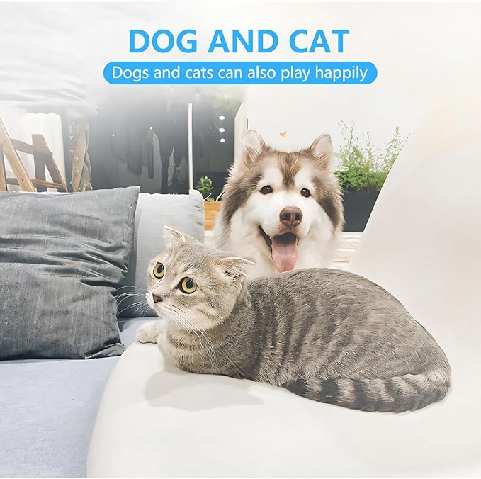 Cat Dog Specific Nail Clipper, Avoiding Excessive Cutting, Suitable for Beginners. It Can Also be Used for Small Animals Such as Birds, Hamsters, Rabbits, Hedgehogs, Ferrets, Guinea Pigs, Etc.-Mewly Pet