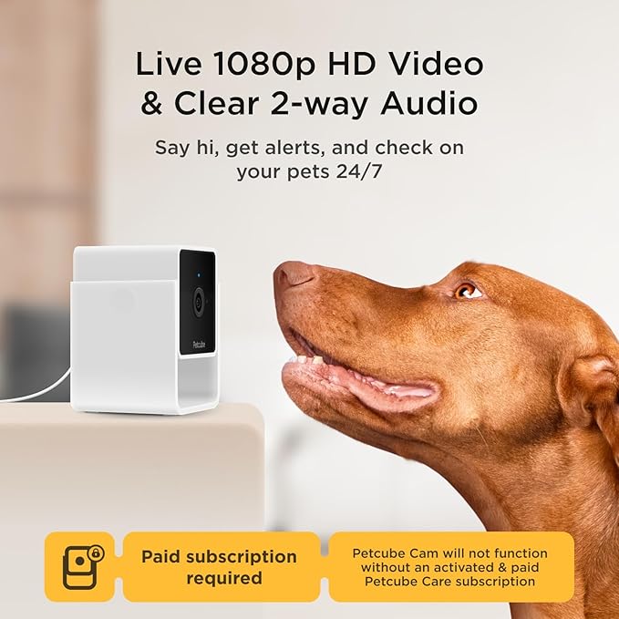 Petcube Security Camera (Cam with Subscription)-Mewly Pet