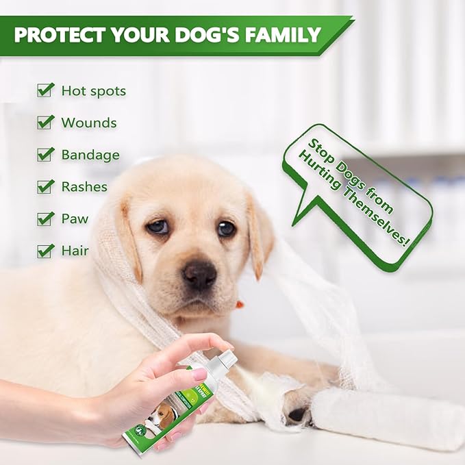 vyaji 5.07 Oz Bitter Apple Spray for Dogs to Stop Chewing - Natural Ingredients No Chew Spray for Dogs - Bitter Sprays for Dog - Alcohol-Free & Cruelty-Free - Safeguard Beloved Furniture, Green-Mewly Pet