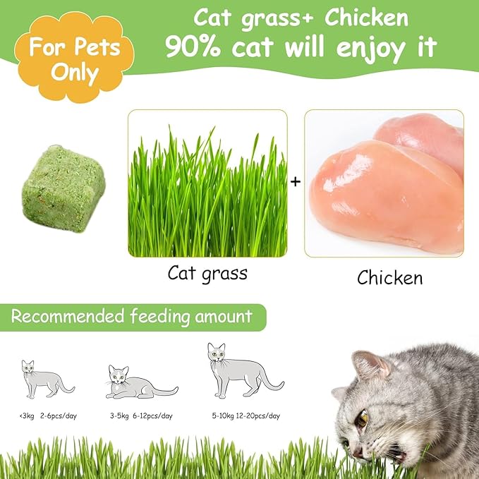 HavenJanny 60g Cat Grass Treats for Cats, Freezed Drying Cat Grass Teething Stick Snacks for Kitty, Edible Cats Chew Toys for Teeth Cleaning and Hairball Removal-Mewly Pet