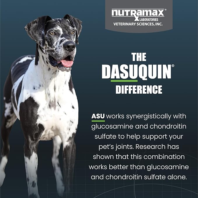 Nutramax Dasuquin for Large Dogs, Joint Health Supplement, Contains Glucosamine for Dogs, Plus Chondroitin, ASU and More, Supports Healthy Joints, Soft Chews, 150 Count-Mewly Pet