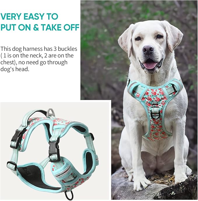 Timos Dog Harness,NO Need Go Over Dogs Head 3 Snap Buckles Pet Harness with 2 Leash Clips,Adjustable Soft Padded No-Pull,Reflective No-ChokeOxford Vest for Small Medium Large Dogs,X-Large(Packof1)-Mewly Pet