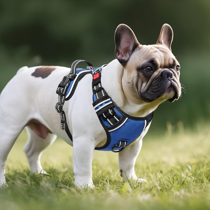 Timos Dog Harness, No Pull Dog Harness 3 Snap Buckles Adjustable Reflective No Choke Pet Vest for Small Dog with Soft Padded Control Training Handle for Outdoor Training,Lock Blue, S-Mewly Pet