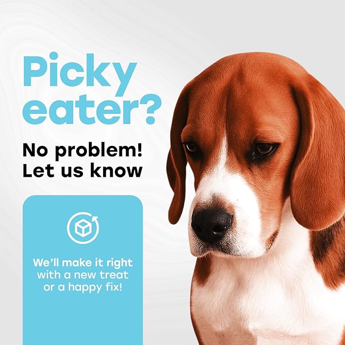 Probiotics for Dogs - PhD Endorsed Digestive Enzymes - Gut Health, Diarrhea & Bowel Support - Dog Treats with Turmeric, Omega-3 & Fiber - Immune Soft 140 Chews - Beef Flavor - Made in USA-Mewly Pet