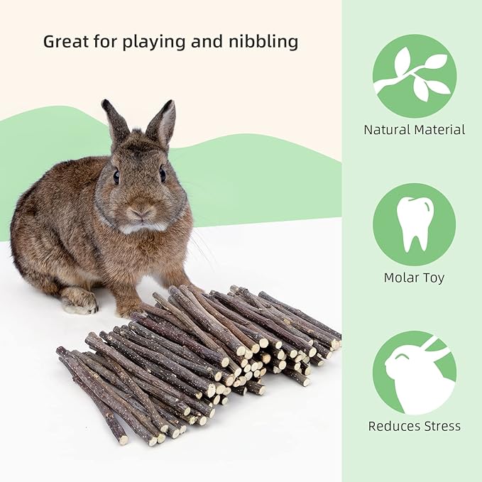 Niteangel Apple Sticks Natural Chew Toys for Rabbits, Chinchilla, Guinea Pigs, Hamsters and Other Small Animals (Apple Twig)-Mewly Pet