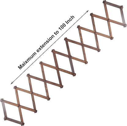 SKOLOO Accordion Wall Hanger with 28 Hooks, Modern Expandable Coat Rack Hat Rack for Wall, Solid Wooden, Walnut Color
