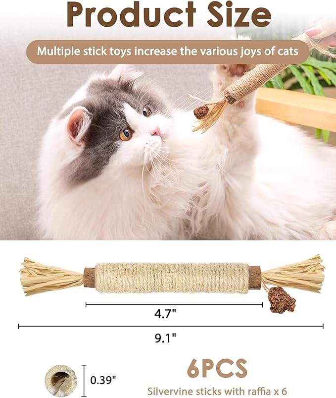 Tocirelo Silvervine Sticks Cat Toys - 6Pack Natural Cat Chew Toy Teeth Cleaning, Matatabi Dental Care Kitten Treat, Catnip Cat Teething Toys, Catmint Silver Vine Sticks for Bored Indoor Kitty-Mewly Pet