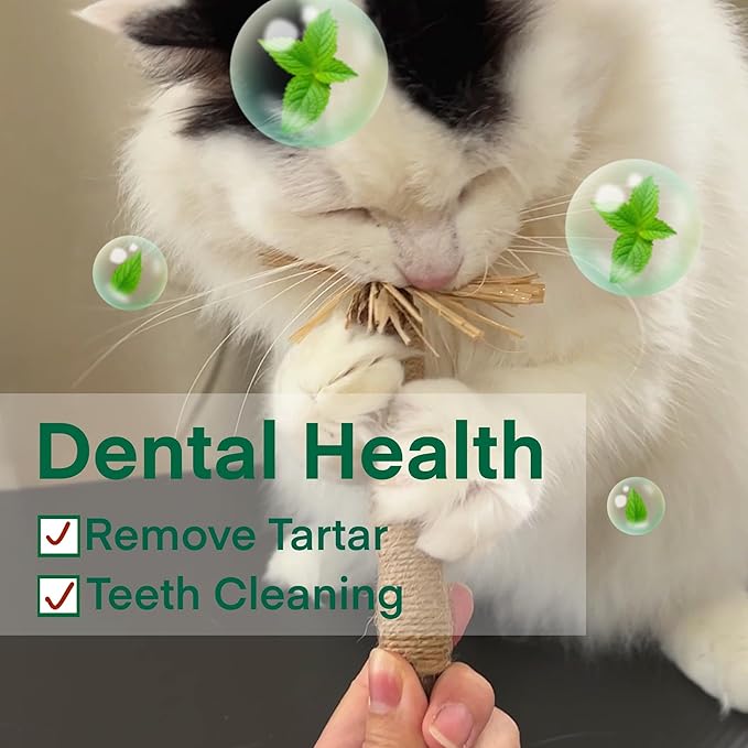 8.66 inches Silvervine Sticks Cat Toys, Natural Catnip Kittens Chew Toy for Teeth Cleaning,Big Catmint Blend Stick, Dental Kitty Chews for Indoor(5 Pack)-Mewly Pet