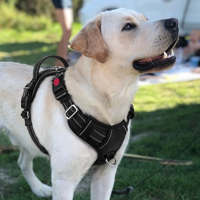 rabbitgoo Dog Harness for Large Dogs, No Pull Pet Vest with 3 Buckles, Adjustable Soft Padded Pet Harness with Easy Control Handle and Reflective Strips, Black, L-Mewly Pet