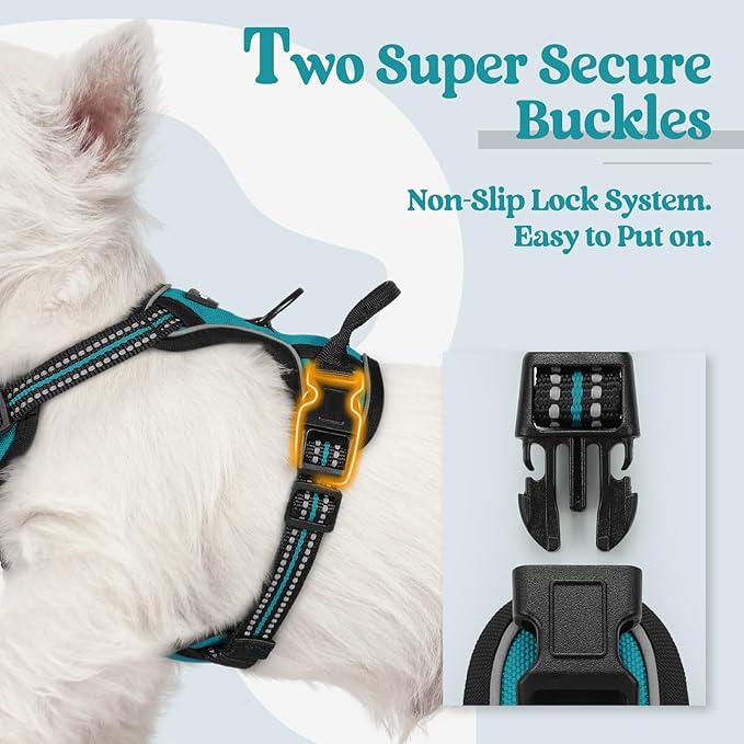 rabbitgoo Dog Harness No Pull with 2 Leash Clips, Adjustable Soft Padded, Reflective Oxford No Choke Pet Vest with Easy Control Handle for Puppy, Teal, XS-Mewly Pet