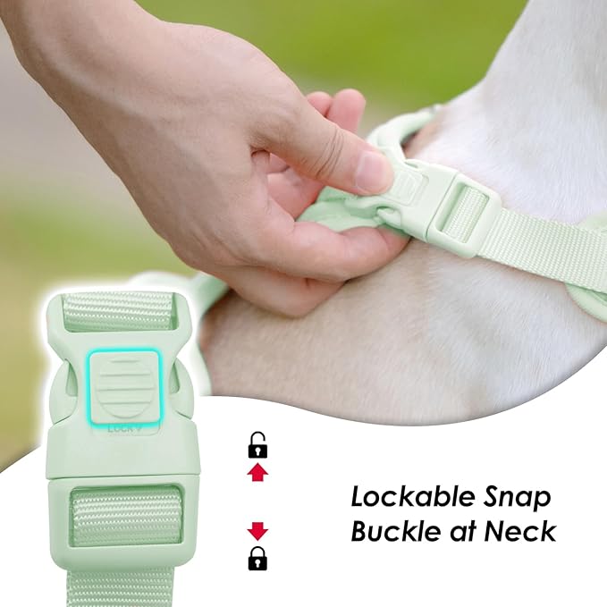No Pull Dog Harness, Puppy Vest with Front Clip for Small Medium Large Sized Dog(Light Green,XS)-Mewly Pet