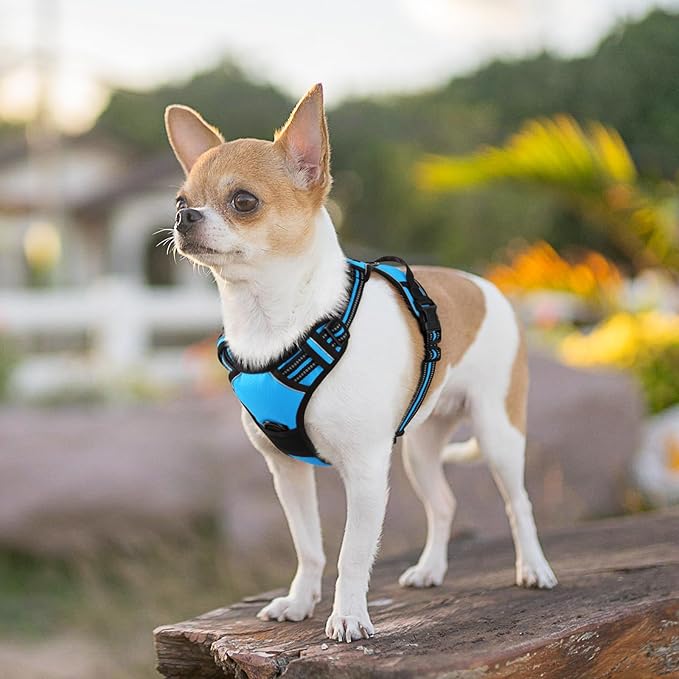 Eagloo Small Dog Harness No Pull, Service Vest with Reflective Strips and Control Handle, Adjustable and Comfortable for Walking, No Choke Pet Harness with 2 Metal Rings, Sky Blue, XS-Mewly Pet