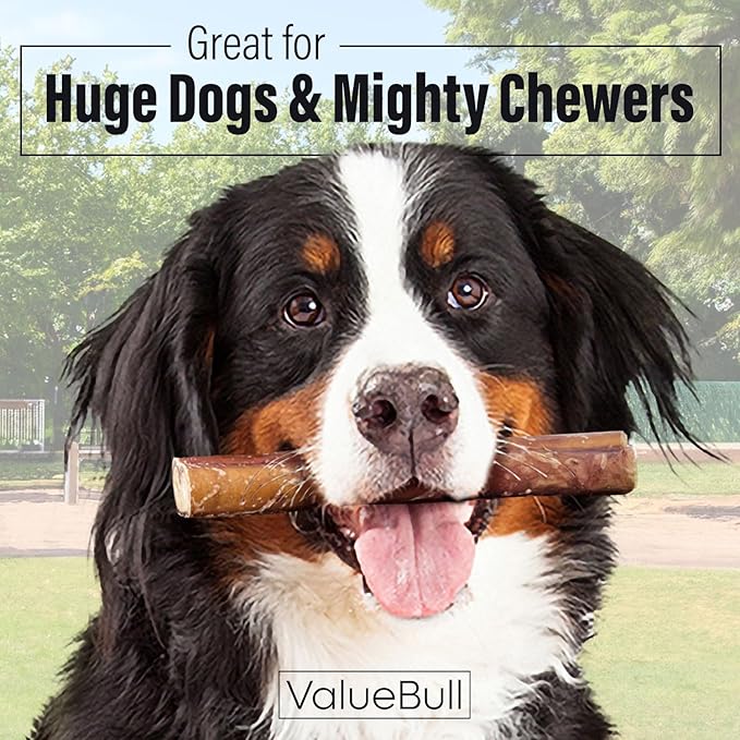 ValueBull Bully Sticks for Large Dogs, Super Jumbo 6 Inch, 25 Count - All Natural, Grass Fed, Single Ingredient, Long Lasting Dog Treats for Aggressive Chewers-Mewly Pet