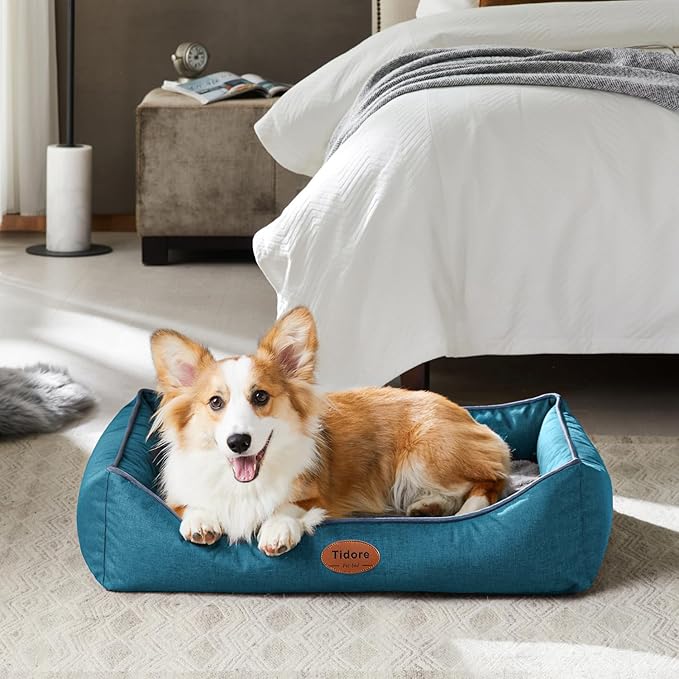Orthopedic Dog Beds for Medium Dogs, Durable Egg Crate Foam Sofa Dog Bed wit Washable Removable Cover,Waterproof Lining,Pet Bed for Large Dogs (Peacock Blue, 31.5" L x 25.2" W x 7" Th)-Mewly Pet