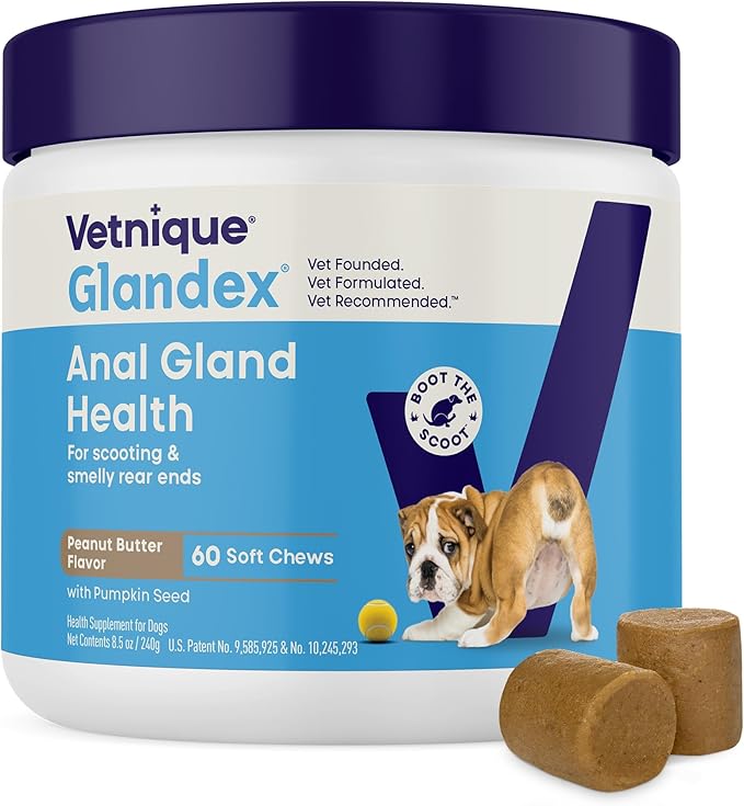 Vetnique Glandex Anal Gland Soft Chew Treats with Pumpkin for Dogs Digestive Enzymes, Probiotics Fiber Supplement for Dogs Boot The Scoot (Peanut Butter Chews, 60 Count)-Mewly Pet
