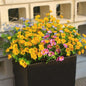 Artificial Outdoor Plants Faux Zinnia Flowers Eucalyptus 16 Bundles Fake Daisy Fade Resistant Wild Flowers Look Real Colorful Flower for Planter Front Porch Decor (16 Bundles 4 Colors)