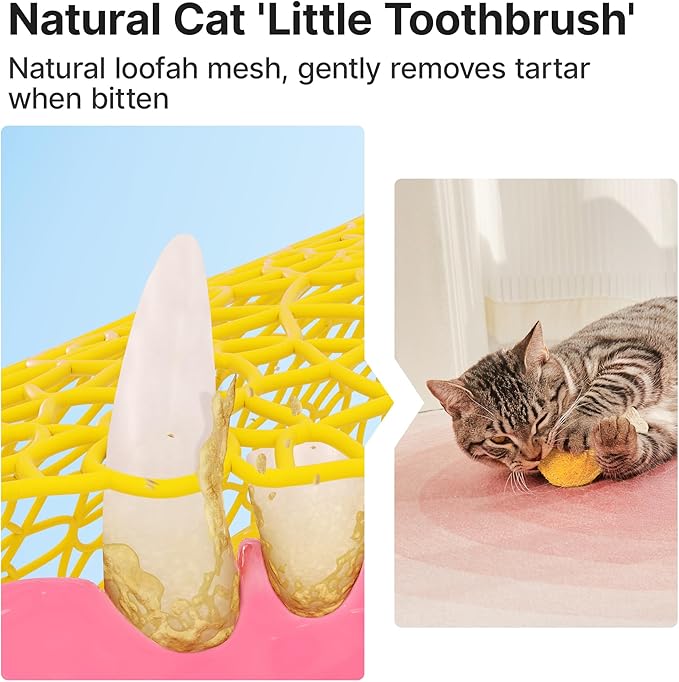 Potaroma Loofah Cat Chew Toys with Catnip and Silvervine, 3PCS Interactive Kitten Loofa Dental Teething and Biting Catnip Toys for Cat's Dental Cleaning, 3.2 Inches-Mewly Pet