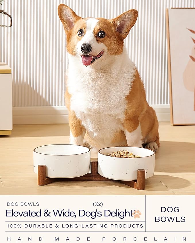 Getstar Ceramic Dog Bowls with Acacia Wood Stand, 30 fl oz, Set of 2, Dog Food Bowl with Colored Rim-Mewly Pet