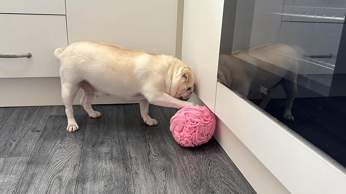 Medium Breed Snuffle Interactive Foraging Dog Puzzle Ball Toy Pink Large-Mewly Pet