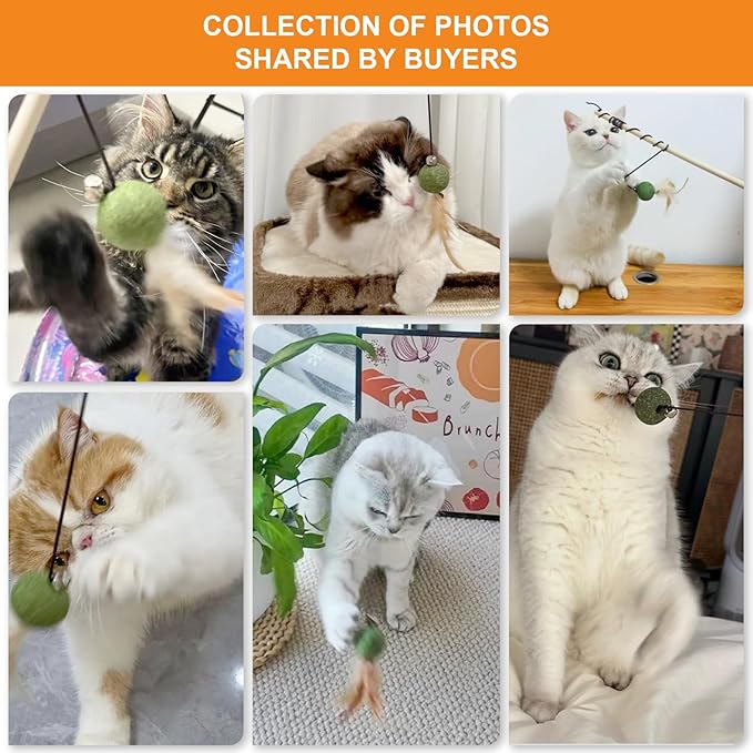 Cat Feather Toys with Catnip Ball, Feathers & Bell - 2 Replaceable Mouse Heads, Elastic Rope & Wooden Handle for Aggressive Kittens, Durable Bite-Proof Interactive Cat Teaser for Indoor Play-Mewly Pet