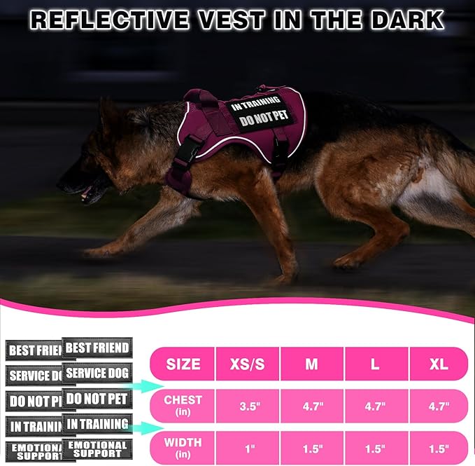 WINSEE Service Dog in Training Mesh Harness with 10 Pet Patches, Soft Air Mesh Breathable Tactical Dog Molle Vest, Reflective Military Pet Vest for Walking Hiking for Medium Dogs-Mewly Pet