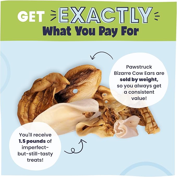 Pawstruck Natural Bizarre Cow Ears Bargain Bag – Rawhide-Free, Highly Digestible, Low Calorie & Long-Lasting Chew Treat for All Breeds – 1.5 lb Bag-Mewly Pet