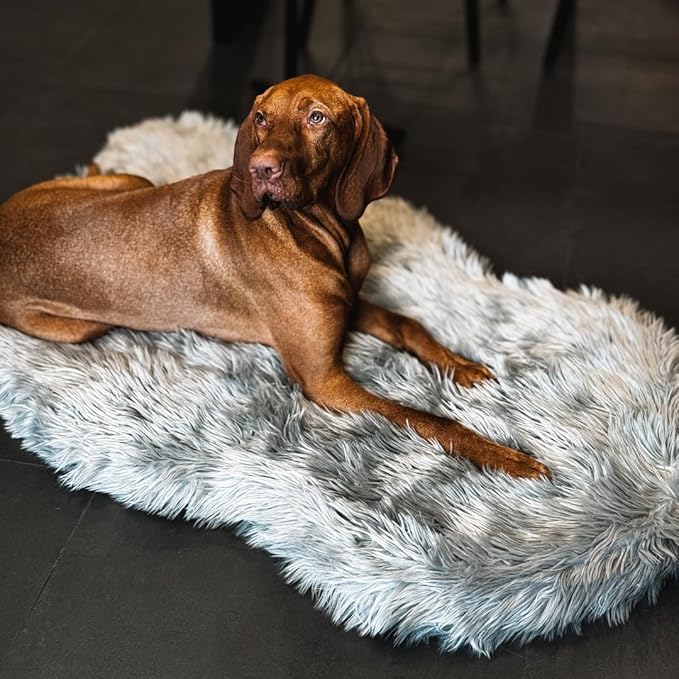 IHAPPYDOG Luxury Faux Fur Orthopedic Dog Bed, Memory Foam Dog Bed for Small, Medium, Large and XL Pets, Fluffy Pet Bed with Waterproof and Washable Cover (Grey, 60"x35")-Mewly Pet