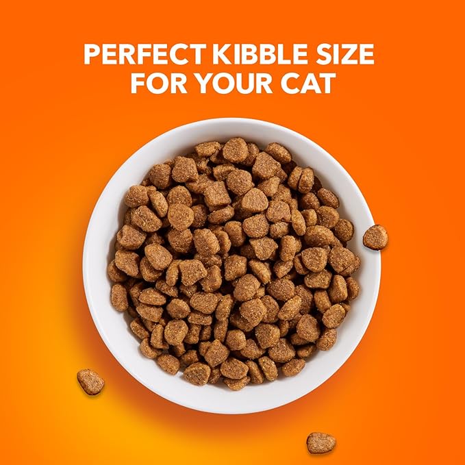 IAMS Proactive Health Adult Healthy Dry Cat Food with Chicken, 22 lb. Bag-Mewly Pet