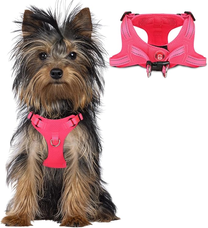 Dog Harness Step in Dog Vest Harness, Reflective Adjustable Puppy No Pull Harness Breathable Soft for Small and Medium Dogs Cats, Pink, XXS-Mewly Pet