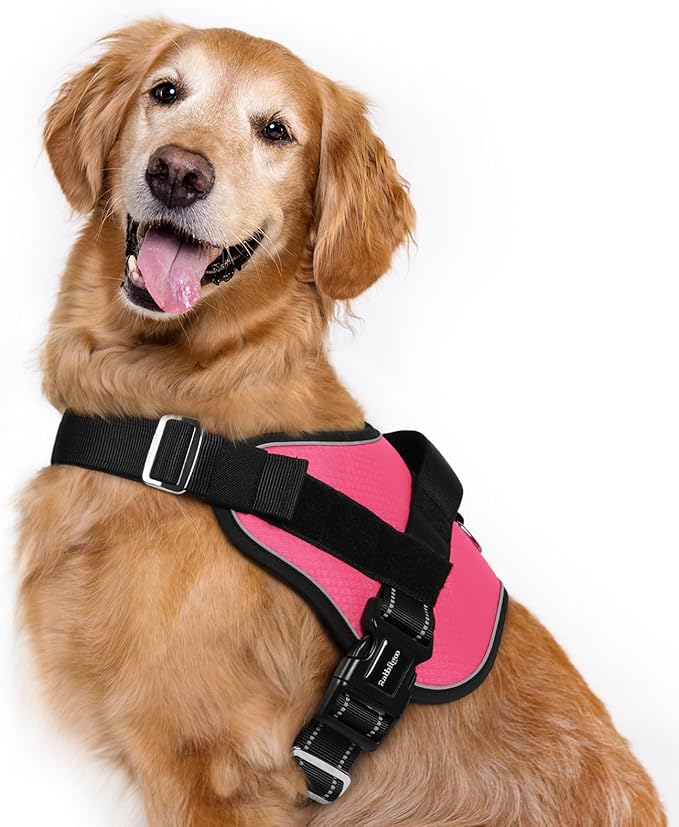 rabbitgoo Dog Harness for Large, Easy On Pet Vest with One Buckle, No Pull Adjustable Service Harness with D-Ring & Handle, Reflective for Safety Walking, Training, Pink, XL-Mewly Pet