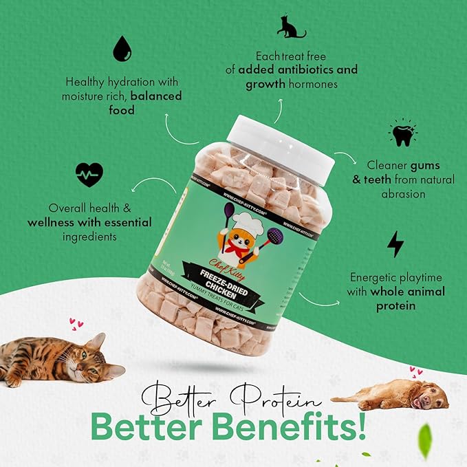 Freeze-Dried Chicken Treats for Cats & Dogs – 100% Human Grade, Single Ingredient, High-Protein, Healthy Snack – No Additives or Preservatives – 3.5oz - Inspected & Tested in USA-Mewly Pet