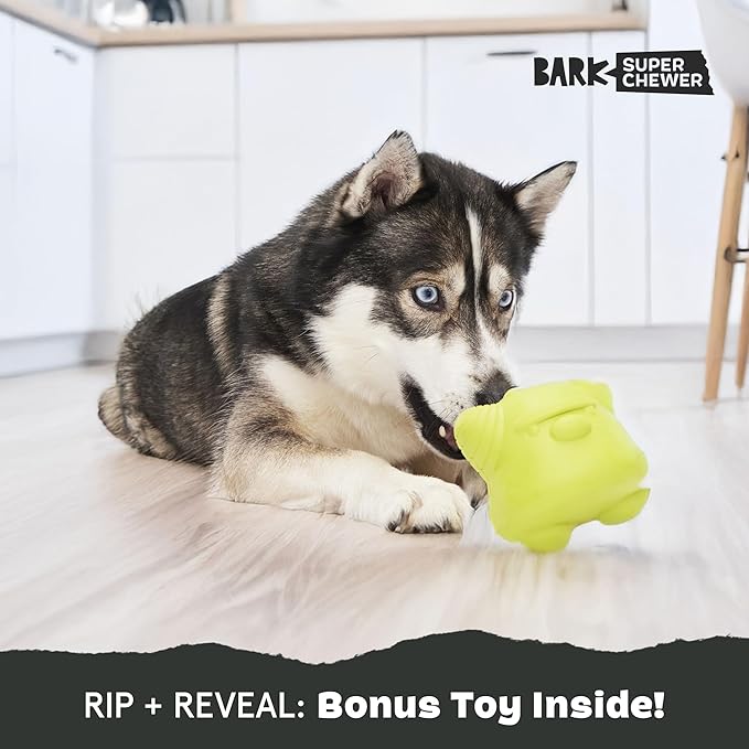 Barkbox Torbert The Troll Dog Toy for Large Dogs, Natural Rubber with Wacky Bounce Perfect for Aggressive Chewers and Long-Lasting Playtime-Mewly Pet