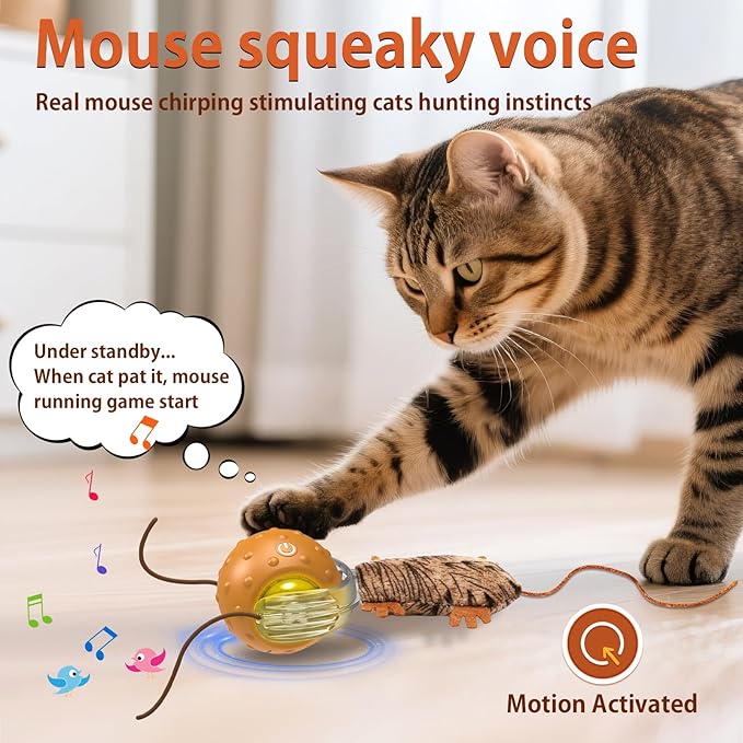Interactive Cat Toys Ball Mouse Chirping Game Motion Activated Play Cat Ball Fast Rolling on Carpet, for High Energy Kittens-Mewly Pet