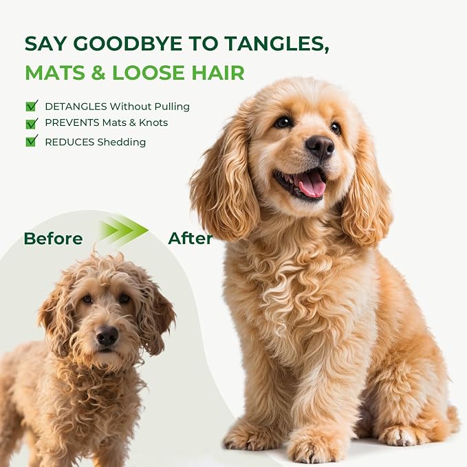 Pecute Slicker Brush for Dogs & Pet Comb, Professional Grooming Dog Brush for Goldendoodles, Poodles, Labradoodles, with Extra Long Soft Pins to Effectively Remove Tangles, Knots and Mats, 2PCS-Mewly Pet