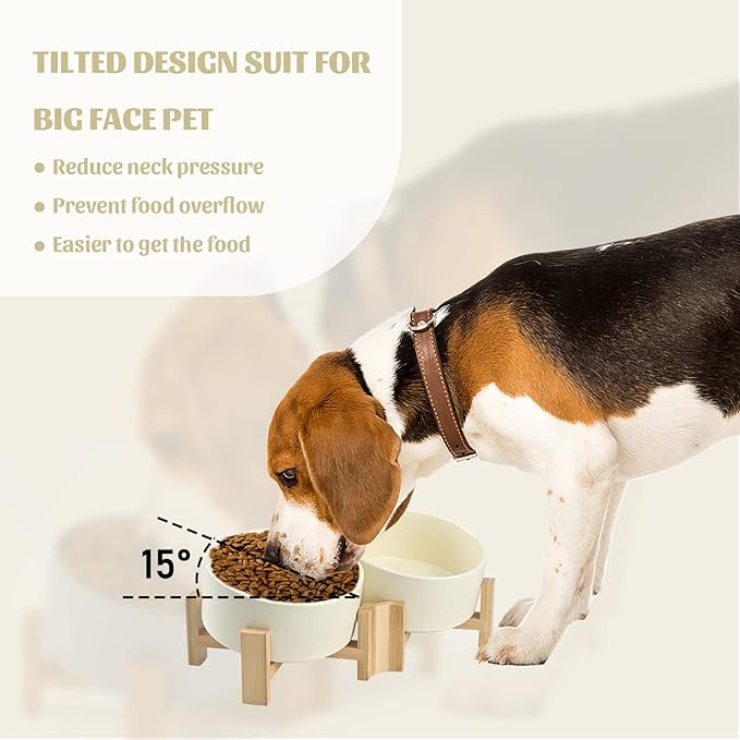 SPUNKYJUNKY 15° Slanted Ceramic Dog and Cat Bowl with Wooden Stand, Tilted Bulldog Food and Water Bowl No Slip Non-Spill for Cats Medium Dogs Big Face Pets 28.7 OZ (3.6 Cups, Beige × 2)-Mewly Pet