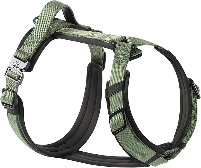 CLEPAWS Dog Harness for Medium Dogs, No Pull Dog Harness Easy Walk with Metal Hardware, Ergonomic Y-Shaped Design, Soft Padding, Padded Handle, Durable High-Tensile Nylon (Evergreen, M)-Mewly Pet