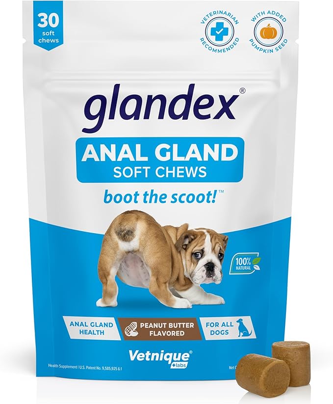 Vetnique Labs Glandex Anal Gland Soft Chew Treats with Pumpkin for Dogs Digestive Enzymes, Probiotics Fiber Supplement for Dogs Boot The Scoot (Peanut Butter Chews, 30 Count)-Mewly Pet