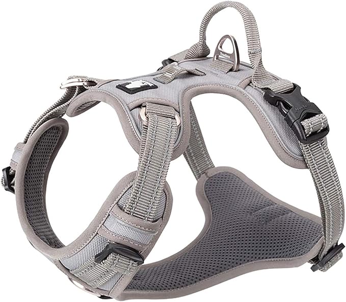 TRUE LOVE Dog Harness No Pull Nylon Reflective Pet Harness Adjustable Comfortable Control Step-in Brilliant Colors Truelove TLH56512 XS Gray-Mewly Pet