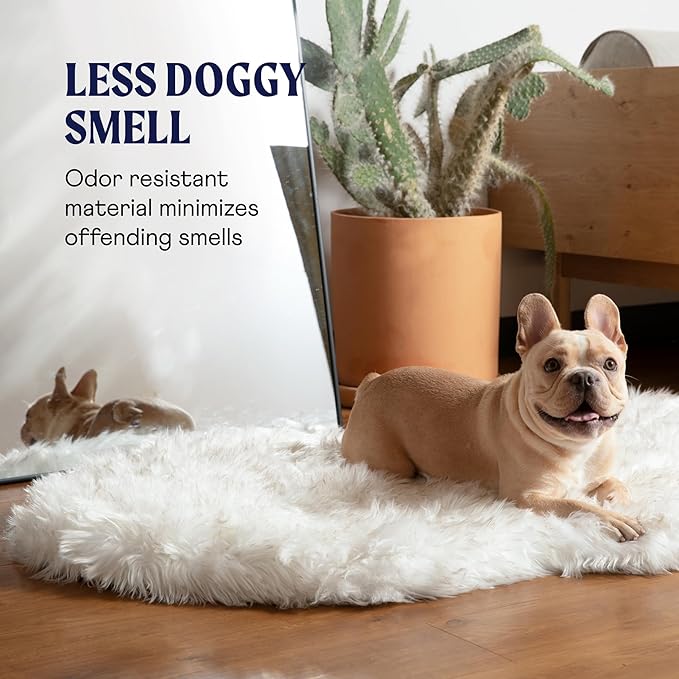 PupRug Orthopedic Dog Bed for Large Dogs with Fluffy Soft Faux Fur and Memory Foam for Joint Pain Relief, Machine Washable and Waterproof Couch Bed, White with Brown Accents, Large/Extra Large-Mewly Pet