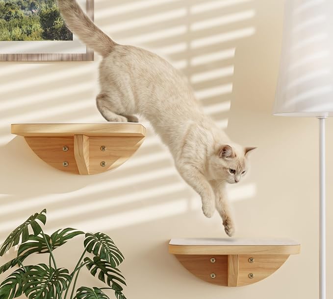 Wall Mounted Cat Steps 2 Pack – Square Wood Cats Shelves with Felt Cushions for Climbing, Jumping & Resting-Mewly Pet