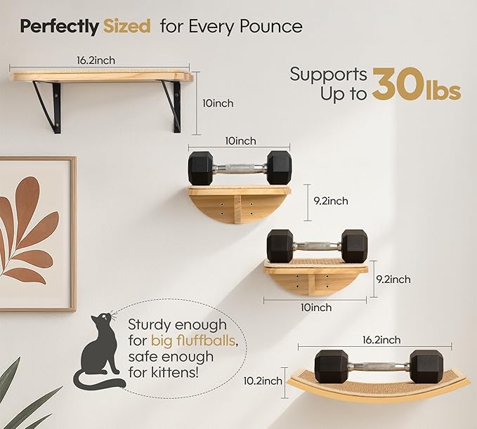 Cat Window Perches, Curved Cat Wall Sisal Mat Bed and 2 Floating Wall Steps, Wall Mounted Climbing Shelves for Sleeping, Playing, and Lounging-Mewly Pet